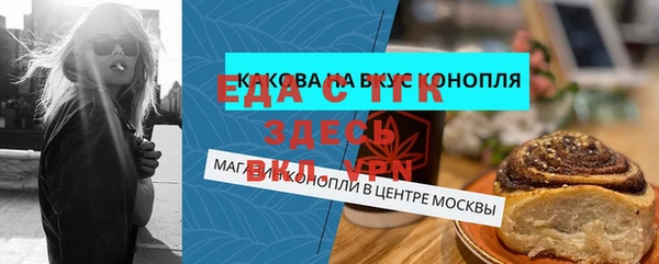 дживик Бородино
