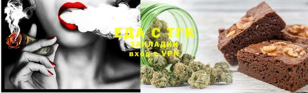 дживик Бородино