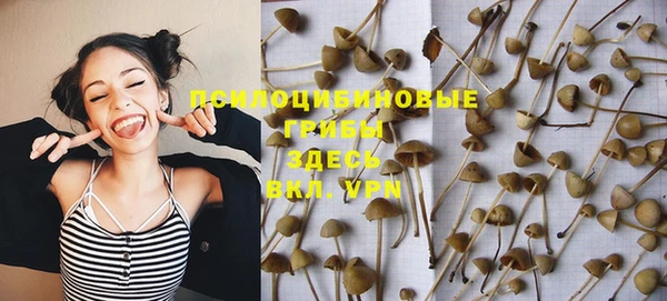 ALPHA PVP Сясьстрой