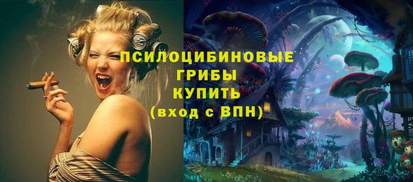 дживик Бородино