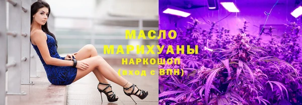 дживик Бородино