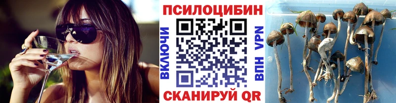 Галлюциногенные грибы GOLDEN TEACHER  Зверево 